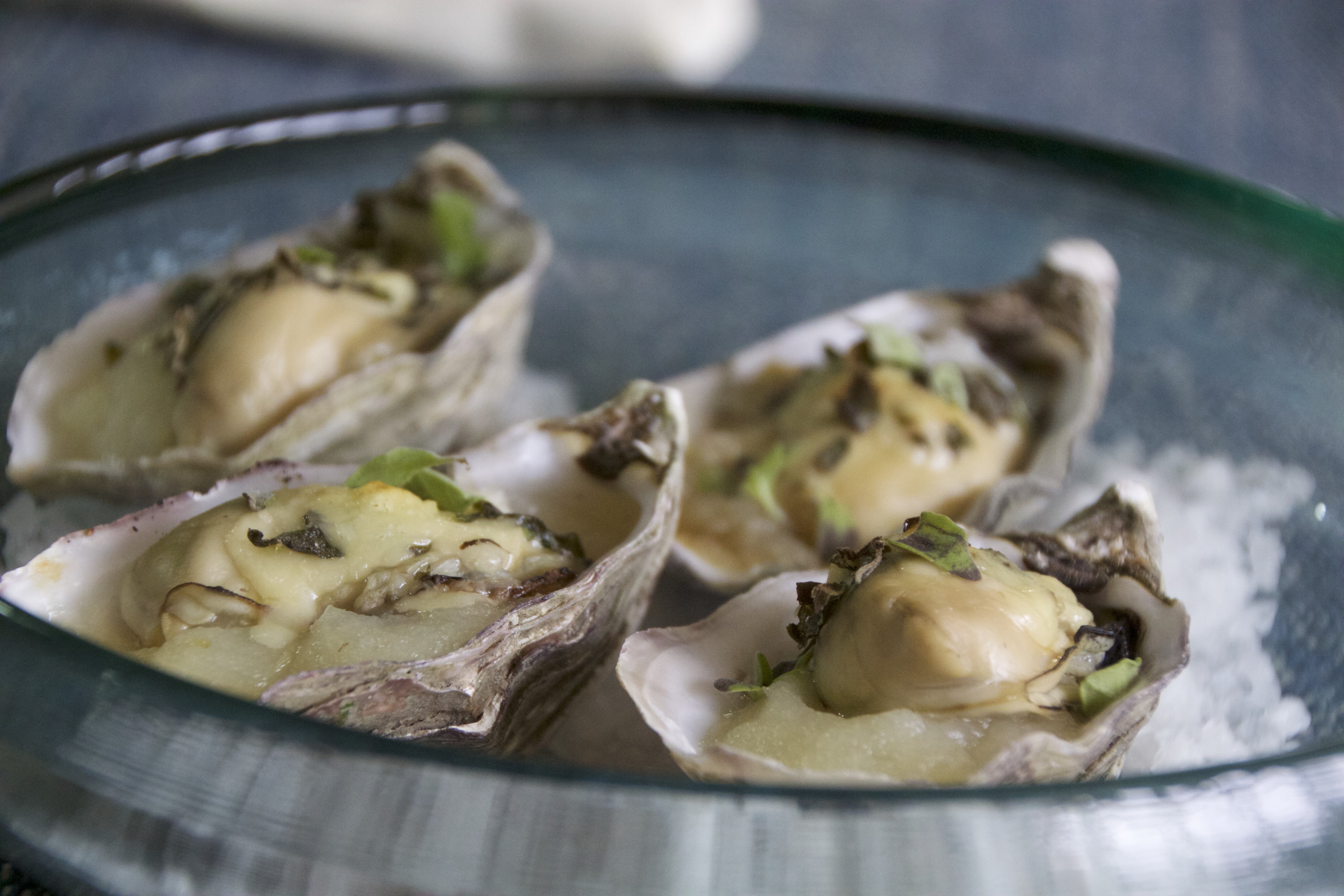 What's Cookin' Today on CRN 02/14 SALLY JAMES, TALKS OYSTERS AND